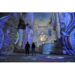 tarif visite Carrières de lumières moins cher avec Accès CE