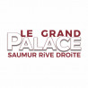  eTicket cinéma Le grand Palace Saumur valable jusqu'au 29 avril 2025