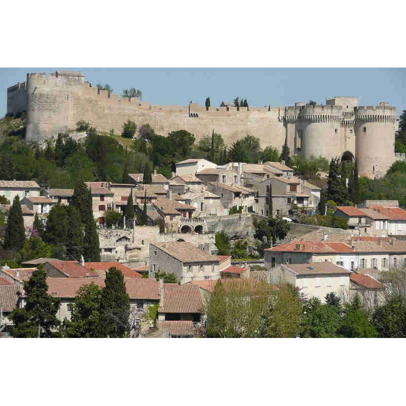 5,00€ ticket visite Fort Saint-André Villeneuve-lez-Avignon